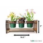 Handmade Table Flower Vase | Premium Wooden Wall & Table Vase